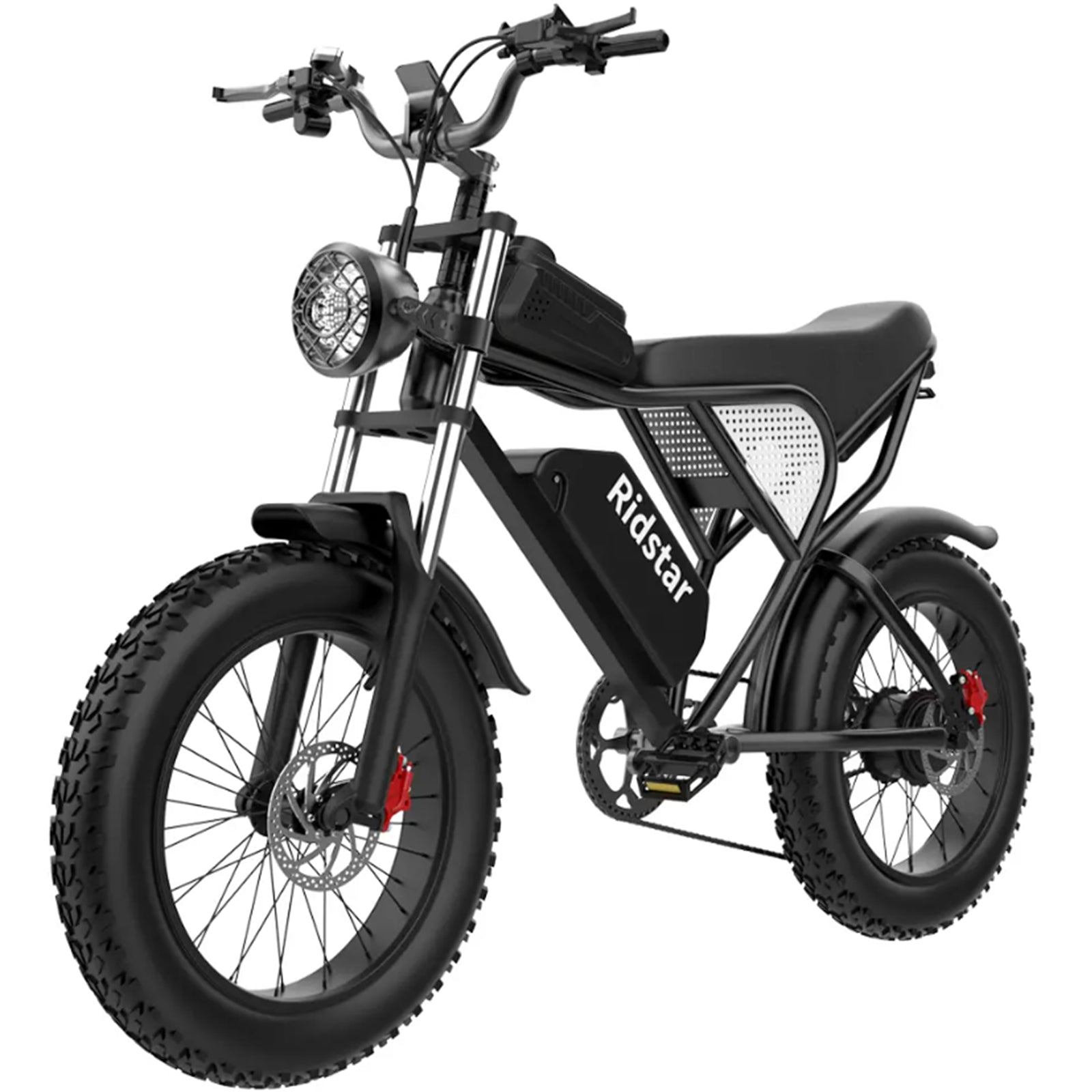 Bicicletta elettrica Ridstar Q20 750W Fat Tire